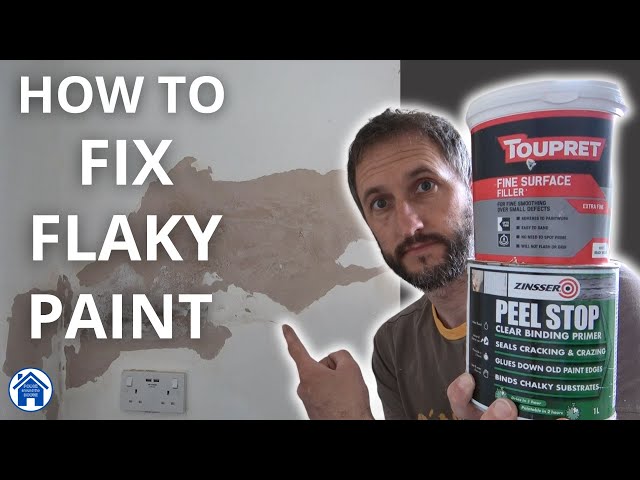 How to FIX FLAKY PAINT. Peeling paint DIY repair. How to use fine surface filler. Flaking paint fix!