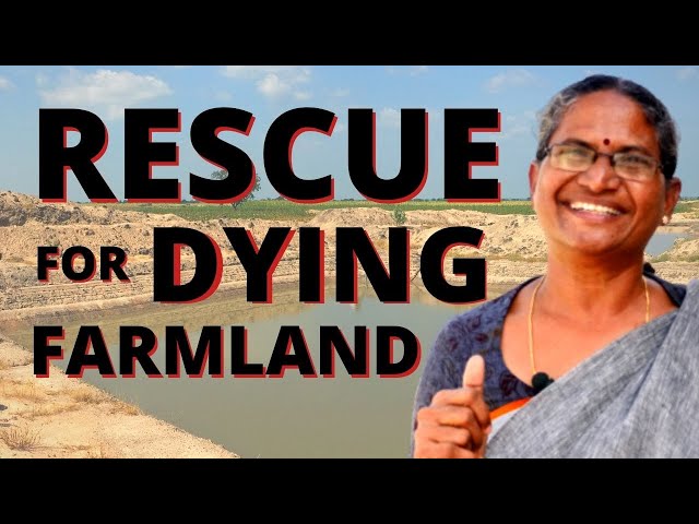 India's Water Revolution #5: Permaculture Rescue for Dying Farmland