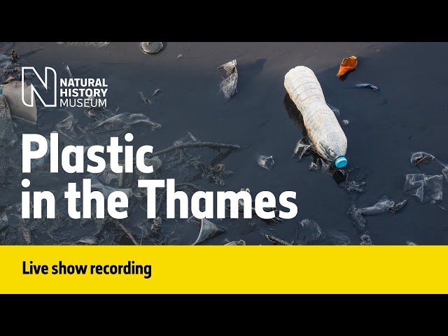 Plastic in the Thames | Live Talk with NHM Scientist