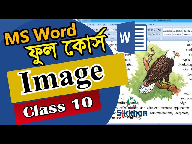 10- How to Insert image in MS Word, insert photo in CV | Bangla tutorial | Sikkhon