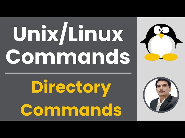 Part 2 - Unix/Linux for Testers | Directory Commands
