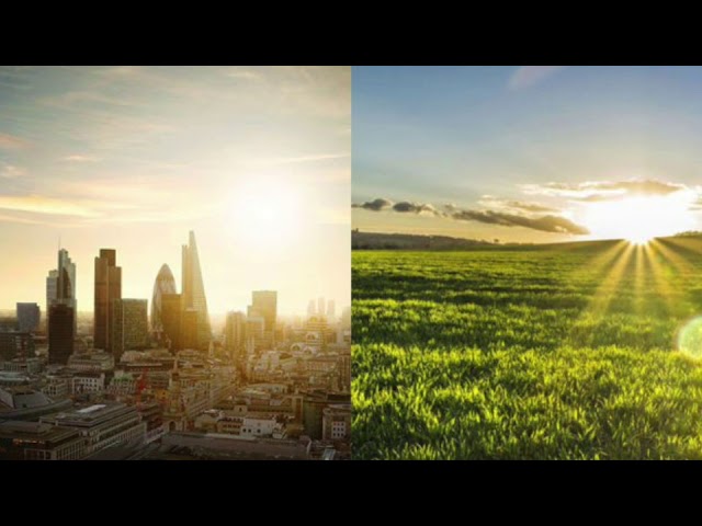 Do you live in a city or the countryside?