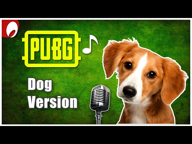 PUBG Theme Song (Dog Version)