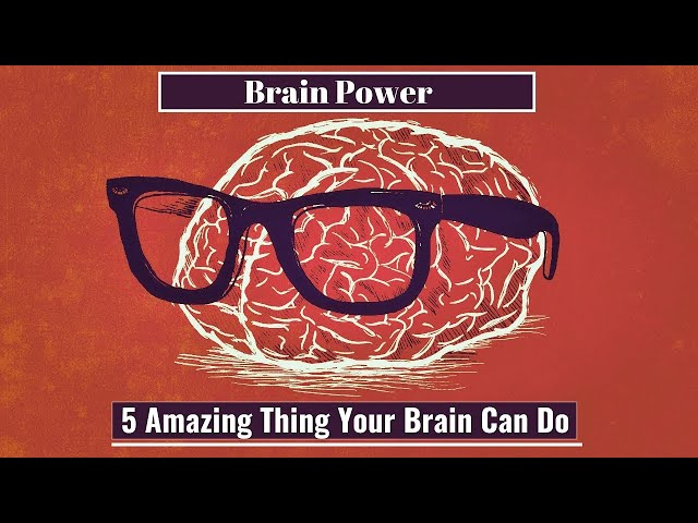 Amazing facts about Brain