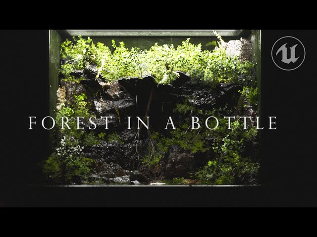 Terrarium in UNREAL ENGINE 5 - Forest in A Bottle: A UE5 Cinematic