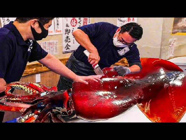 Incredible Giant Squid Fishing - How to Cutting Giant Squid And Squid Processing in Factory