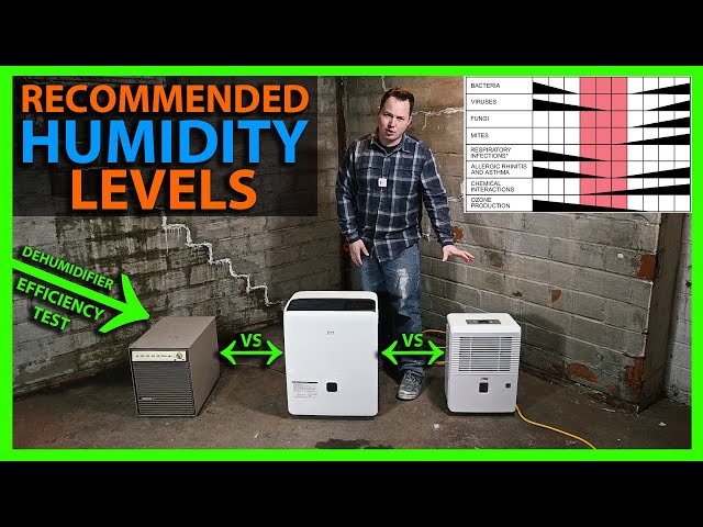 Should I Replace My Old Dehumidifier? Best Humidity Settings & How To Test Dehumidifier Efficiency