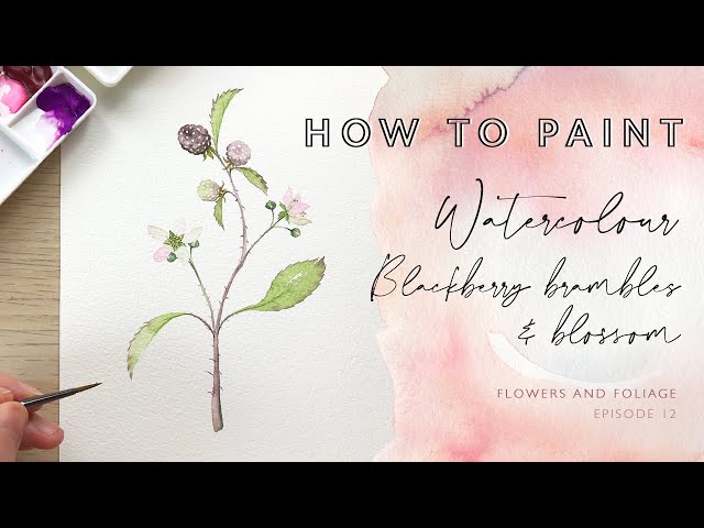 How to Paint Watercolour Blackberry Brambles and Blossom