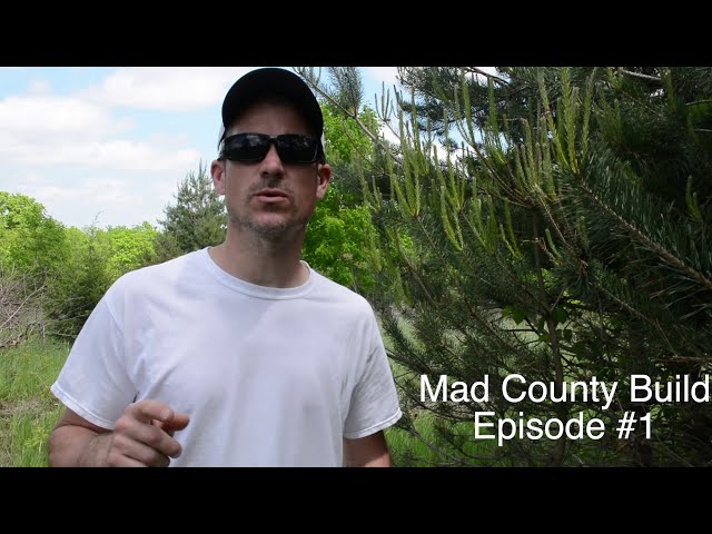 Clearing Land | Mad County Barndominium Ep1