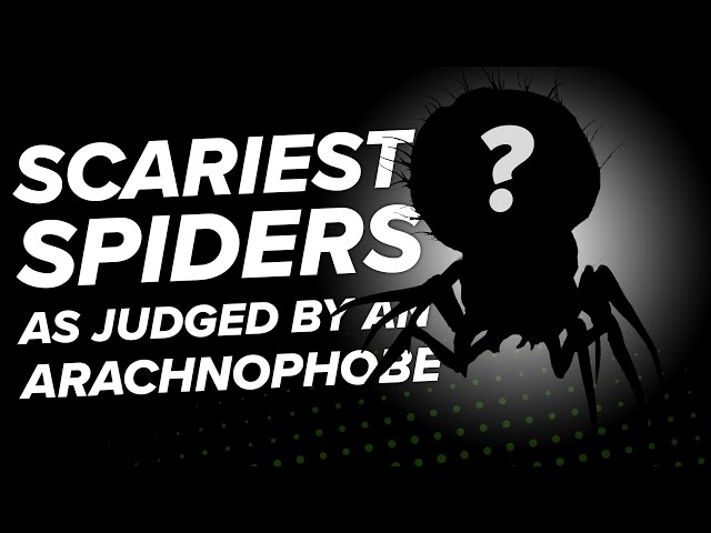 Worst Spiders In Games, Ranked By An Arachnophobe - The Return