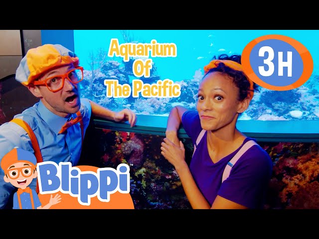 Aquarium of The Pacific | Blippi and Meekah Best Friend Adventures | Educational Videos for Kids