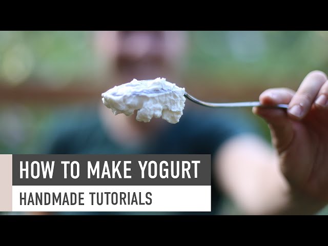 How to Make Yogurt at Home // Homesteading