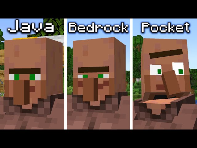 Java vs Bedrock vs Pocket Edition