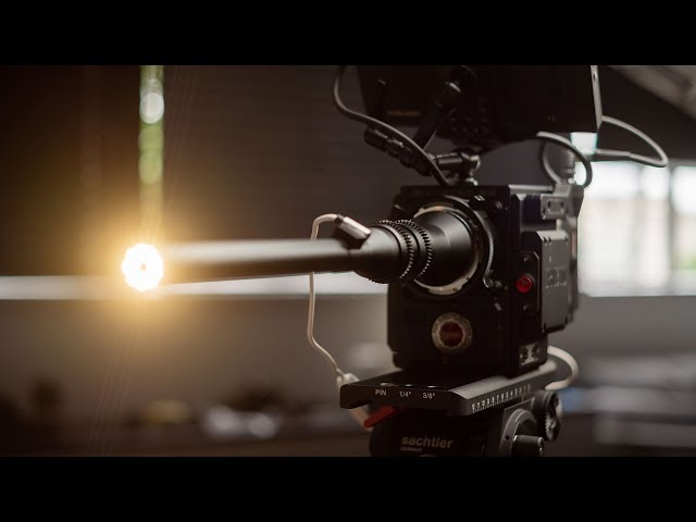 A Unique Perspective - Laowa 24mm f/14 2X Macro Probe Lens Review
