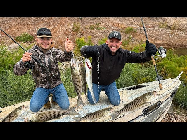 Lake Mead Is Drying up! The Fish Are Starving! {Catch Clean Cook} with Sin City Outdoors
