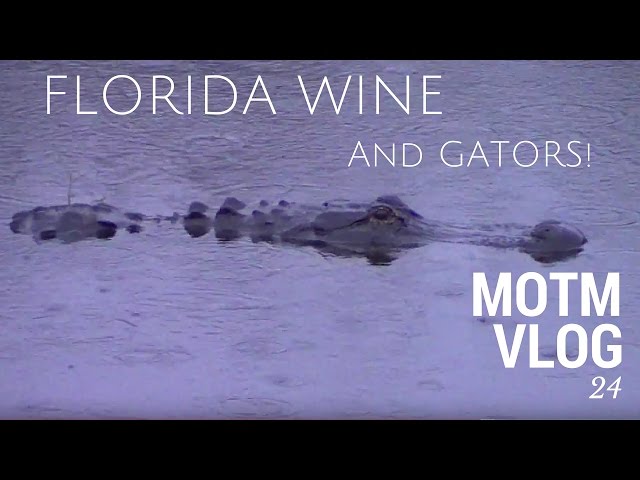 Florida Wine, Nature Preserves and Campground Fun | MOTM VLOG #24