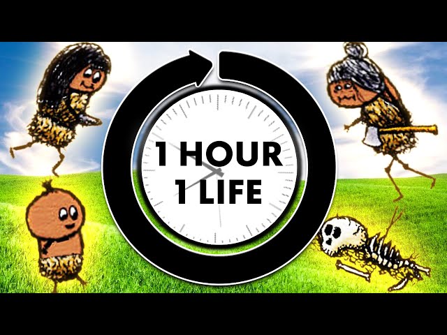 The multiplayer game where you have one hour to live
