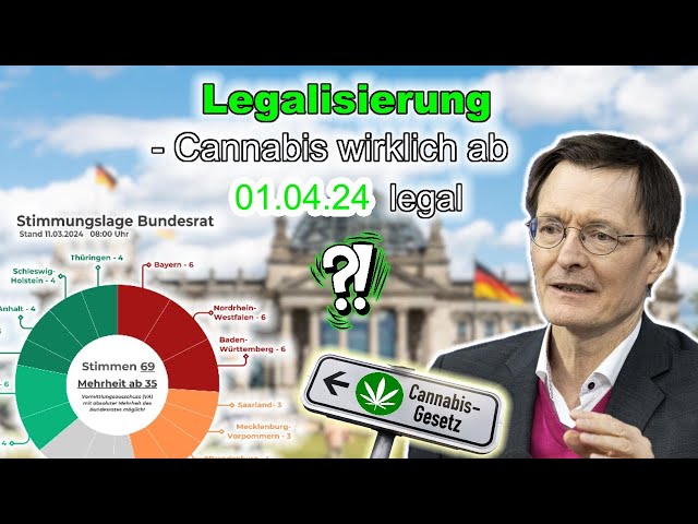 Scheitert Cannabis Legalisierung am 1 April wegen Bundesrat ? Führerschein