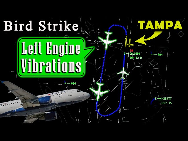Delta A319 suffers BIRD STRIKE DURING TAKEOFF | Left Engine Vibrations