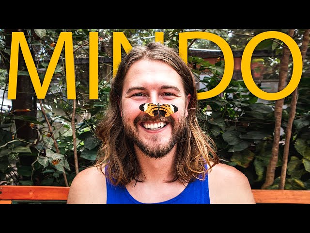 Exploring MINDO Ecuador | Birds, butterflies and chocolate | Ecuador Travel Vlog