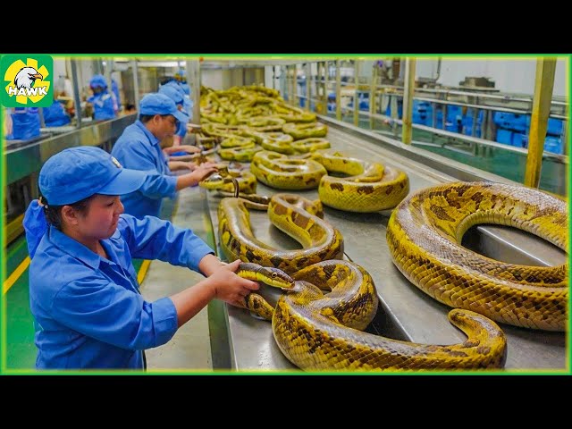 Modern Food Technology Processing Factory at Another Level ►4
