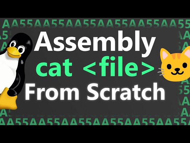 Making Cat Command from Scratch with Assembly