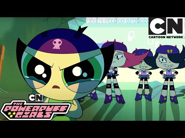 SEASON 1 MARATHON | The Powerpuff Girls COMPILATIONS | Cartoon Network