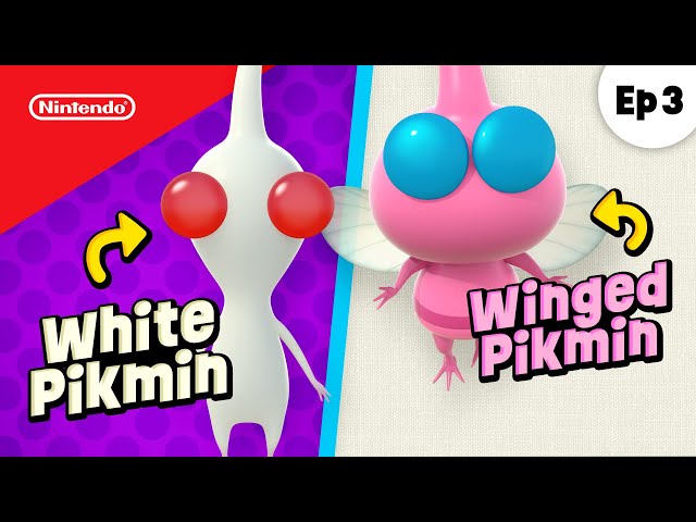 Finding White and Winged Pikmin 🔍😲 Pikmin 4 Adventure Ep 3 | @playnintendo