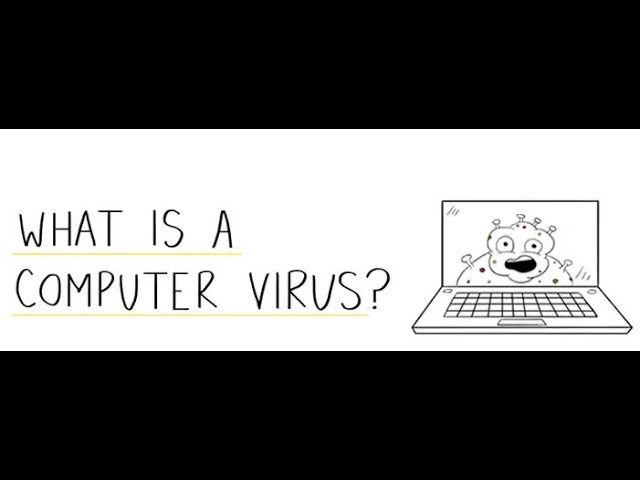 COMPUTER BASICS OVERVIEW |  VIRUS AND ITS MANAGMENT
