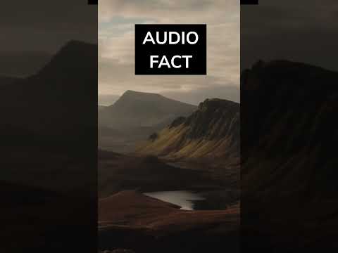 Audio Facts