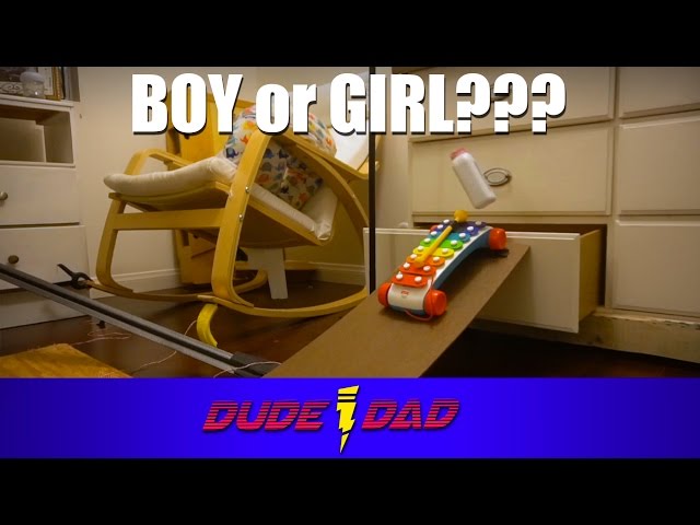 Rube Goldberg Machine Baby Gender Reveal