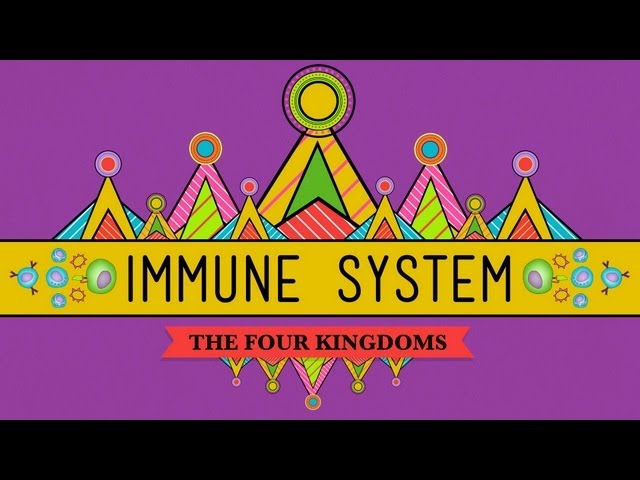 Your Immune System: Natural Born Killer - Crash Course Biology #32