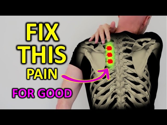 Fix Rhomboid Pain For Good (Shoulder Blade Pain)