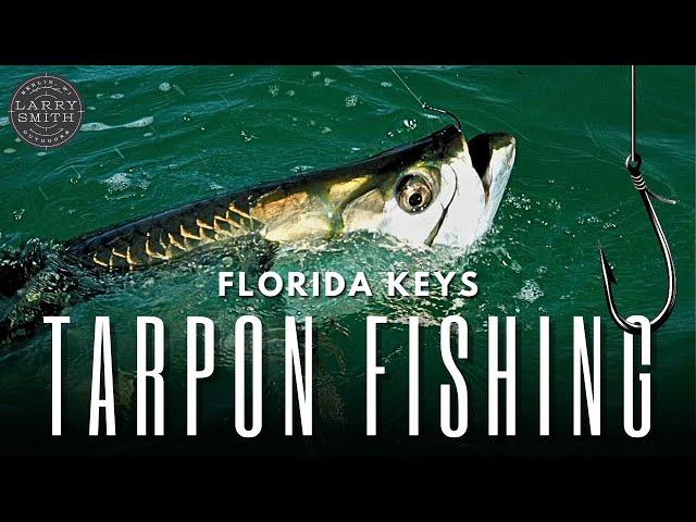 MASSIVE TARPON MADNESS! Florida Keys Tarpon Fishing!
