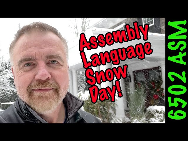 Assembly Language Snow Day!  Learn ASM Now!