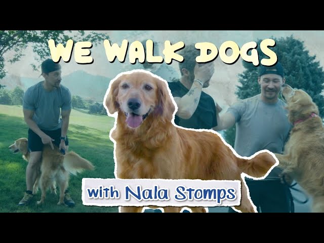 Nala Stomps Teaches Me How To Stomp | WeWalkDogs