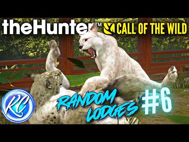 TWO SUPER RARE LYNX?! Touring the Most Incredible Wild Cat Lodge EVER in Call of the Wild