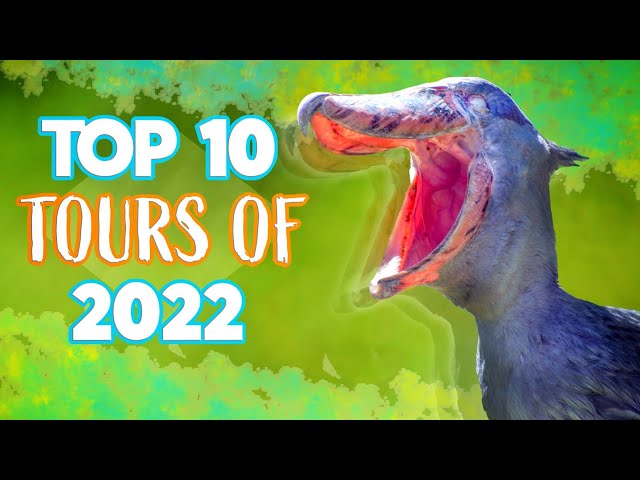 Top 10 Best Zoo Tours of 2022 + Full 2023 Schedule