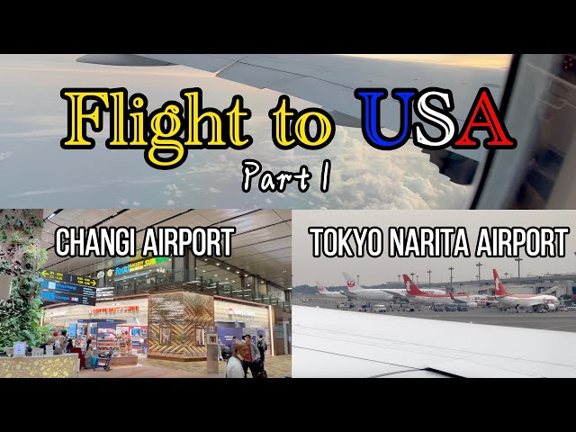 Flight to USA pt 1 - Singapore to Tokyo Narita