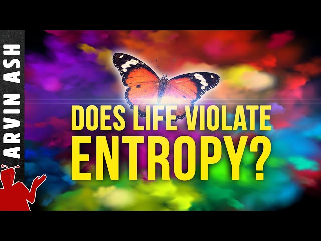 How Did Life Arise from Increasing Entropy?