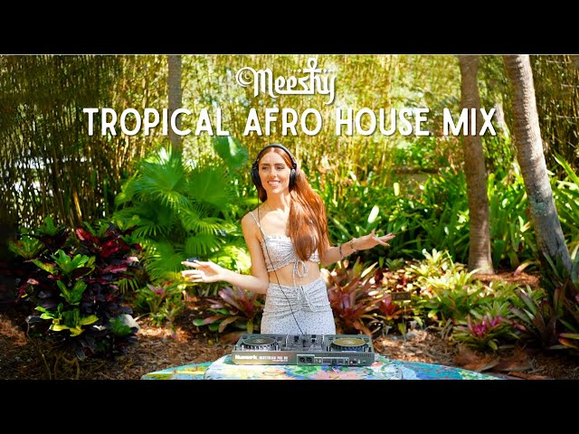 Chill Tropical Afro House Mix - Live DJ Meeshy (ft. Keinemusik, Bob Sinclar, Black Coffee)