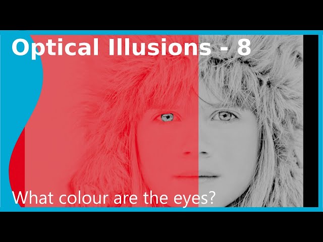 Optical Illusions - Motion binding & Colour constancy