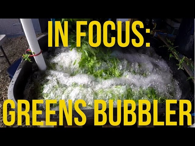 Breaking Ground with the Greens Bubbler: Revolutionary Advancements in Green Growing!