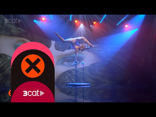 Cirque du Soleil - "Alegría: Bajo una nueva luz" - Col·lapse