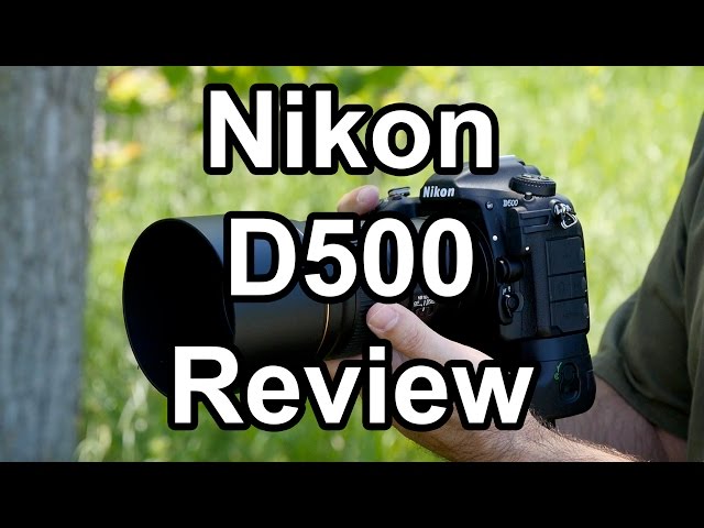 Nikon D500 Review, A Wildlife Photographer's Perspective