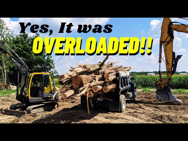 Logs of Opportunity - Finding A Better Way To Haul Firewoods Logs with F-750 Dump Truck