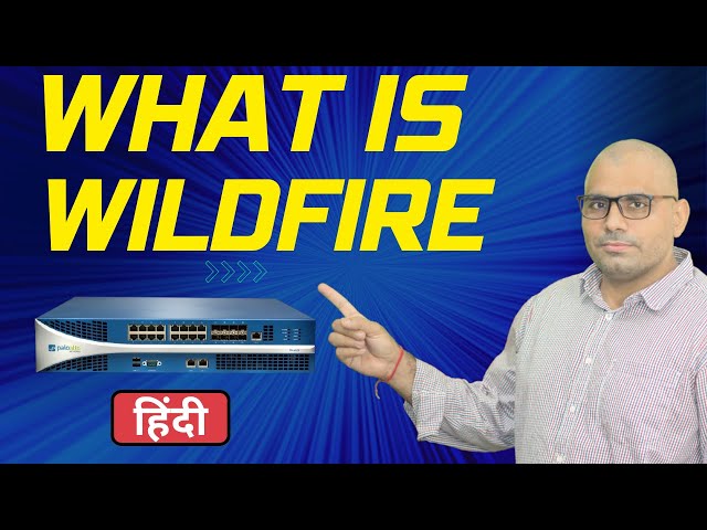 What is Wildfire in Palo Alto Firewall ?