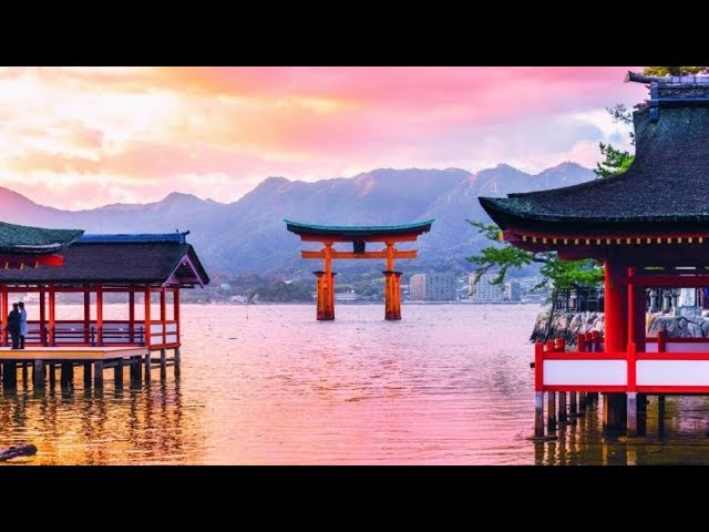 I Want to Take you ALL to Japan With Me! 🇯🇵 ⛩️🇯🇵