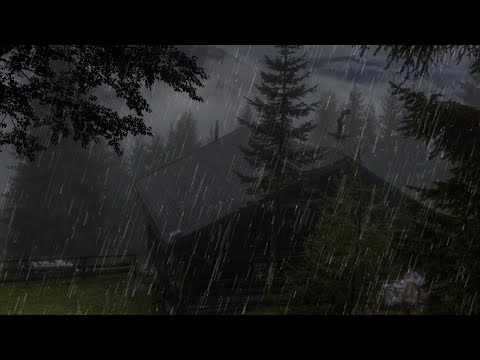 Rain sounds in foggy forest
