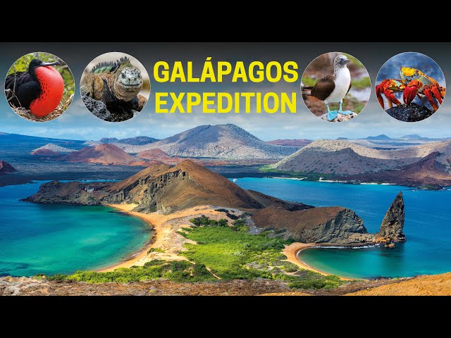 Join the Wildlife Wonders of The Galápagos Islands Expedition